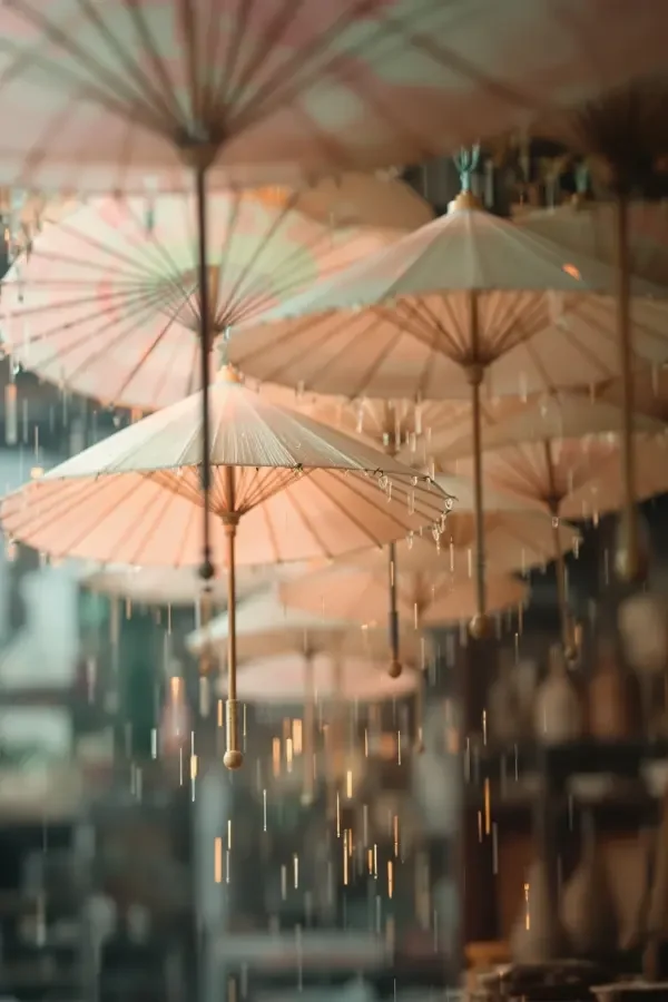 雨中纸伞高清封面